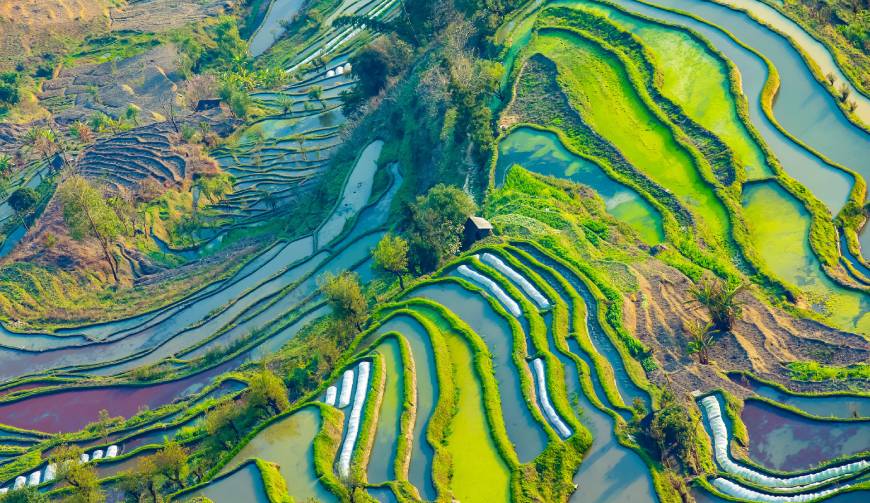 宝妈必备神器：维西产品视频拍摄轻松育儿好帮手