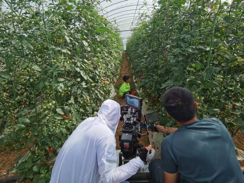 维西产品宣传视频拍摄公司进阶指南，助力品牌抢占传播高地